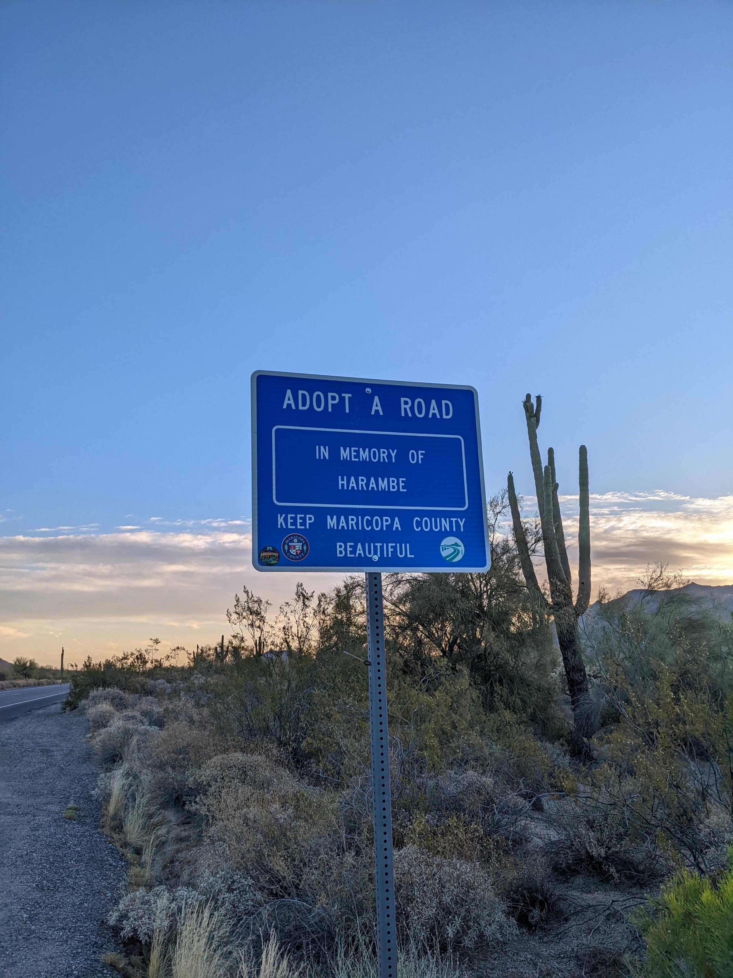 TI o W o o o o C o Ll Lt S