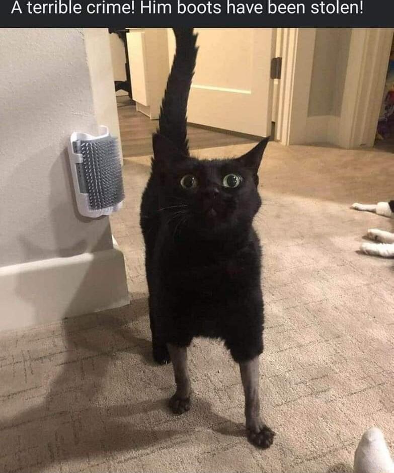 Aterrible crime Him boots have been stolen