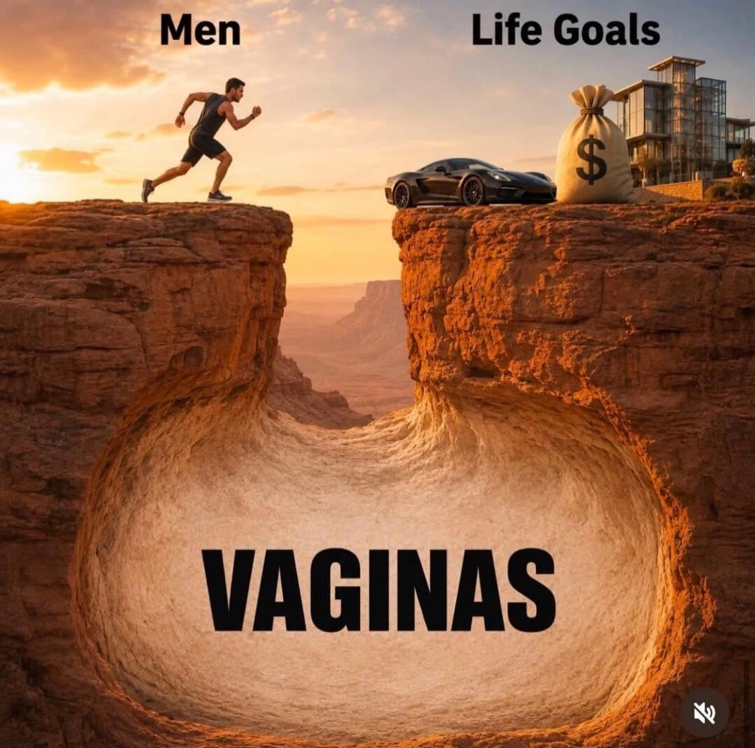 Men Life Goals VAGINAS