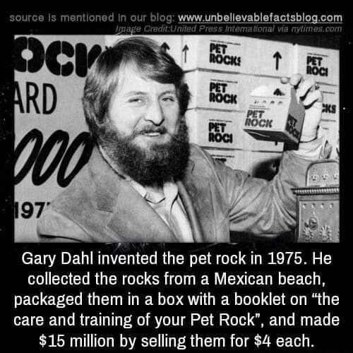 our entione ur blog wwwunbellevablefactsblogcom Gary Dahl invented the pet rock in 1975 He collected the rocks from a Mexican beach packaged them in a box with a booklet on the care and training of your Pet Rock and made 15 million by selling them for 4 each
