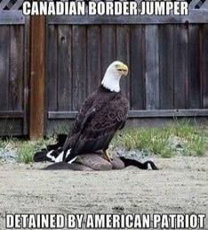 CANADIAN BORDER JUMPER DETAINED BY AMERICAN PATRIOT