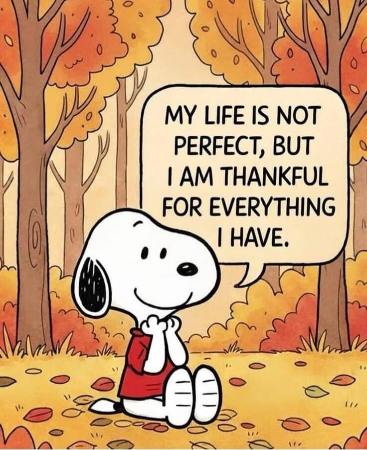 MY LIFE IS NOT PERFECT, BUT I AM THANKFUL FOR EVERYTHING I HAVE.
