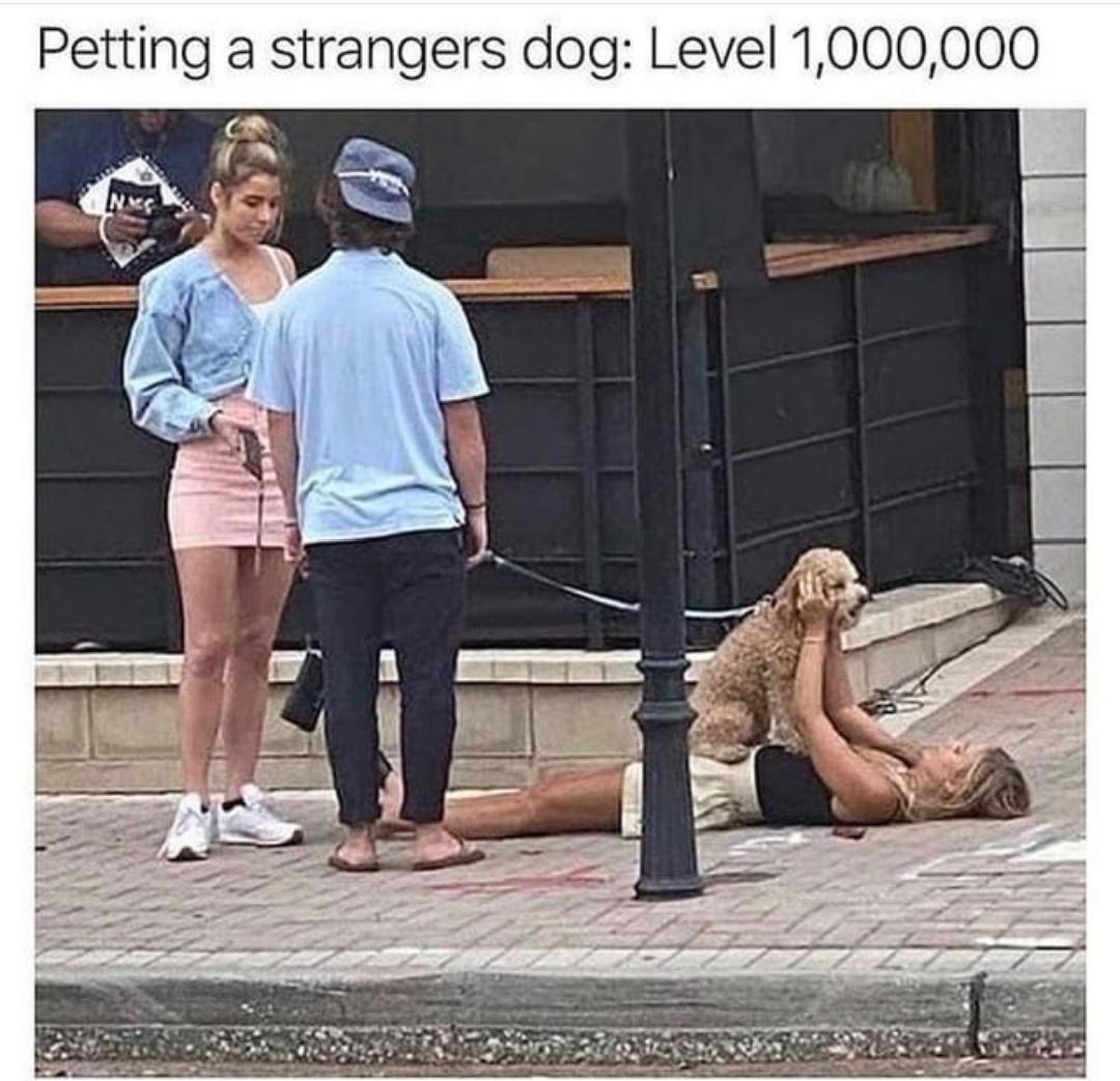 Petting a strangers dog Level 1000000