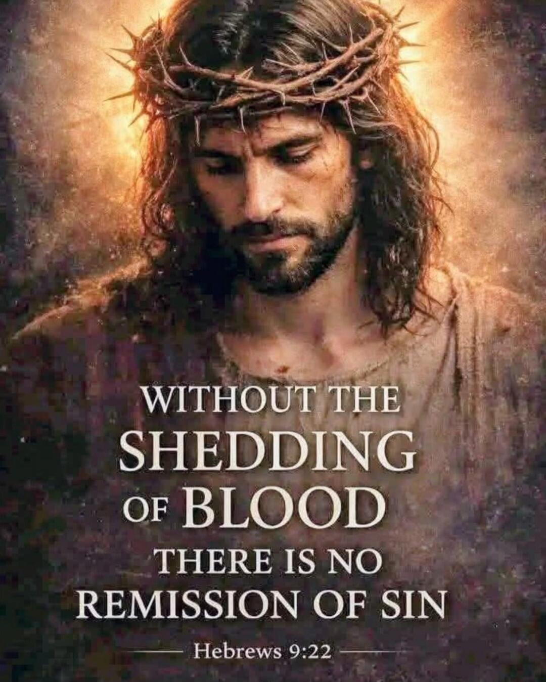 WITHOUT THE SHEDDING OF BLOOD THERE IS NO REMISSION OF SIN Hebrews 9:22