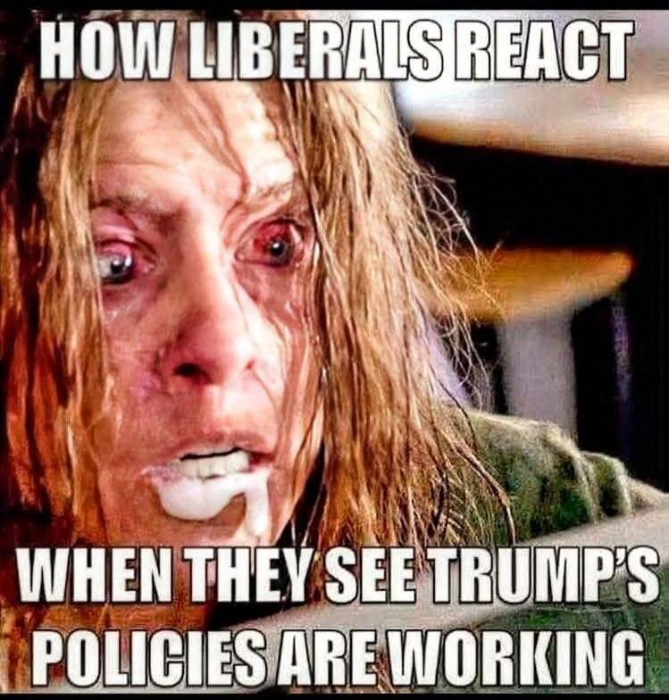 HOW LIBERALS REACT WHEN THEY SEE TRUMP'S POLICIES ARE WORKING