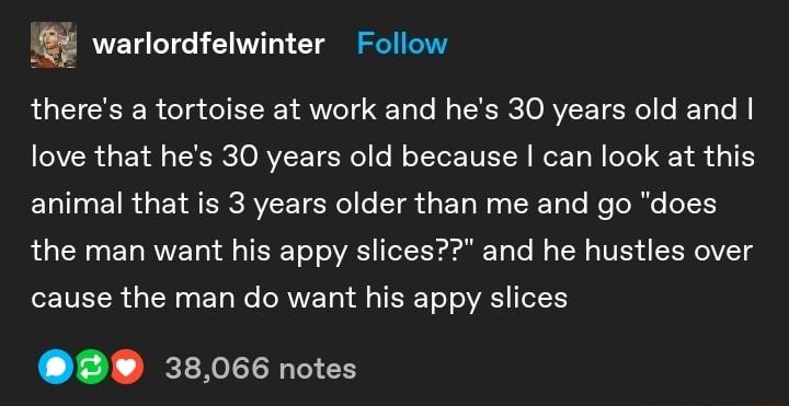 warlordfelwinter Follow theres a tortoise at work and hes 30 years old and VR gt fl s TR REORVIET SR o lo oI To VLA e Ta N leTe ST A 1 ETal I EY R s EY N ERCAVIET S Hol 0 T s T Mo g IoRToTo o ole ol L SN ETORWYE o1 Al o ISR To o VA T T e l o oW TV 4 SENeIVICT S TVEIR o N 4 1o W oWV Yo g TERT of o VAKSY eT HS 38066 notes