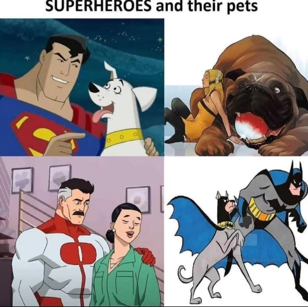 SUPERHREROES and their pets