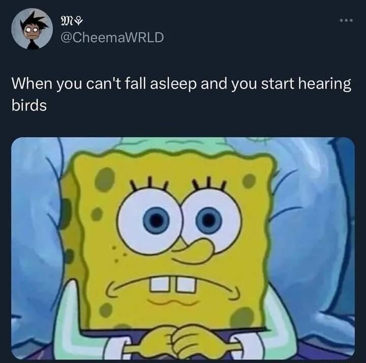 me Gl T ENE A ERRTITRCER RS E R T RN e B ITES ETad TS birds