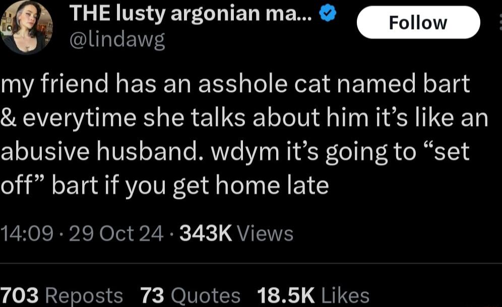 Qh QLA UEETLLIED T E R lindawg my friend has an asshole cat named bart everytime she talks about him its like an abusive husband wdym its going to set off bart if you get home late 1409 29 Oct 24 343K Views 703 Reposts 73 Quotes 185K Likes