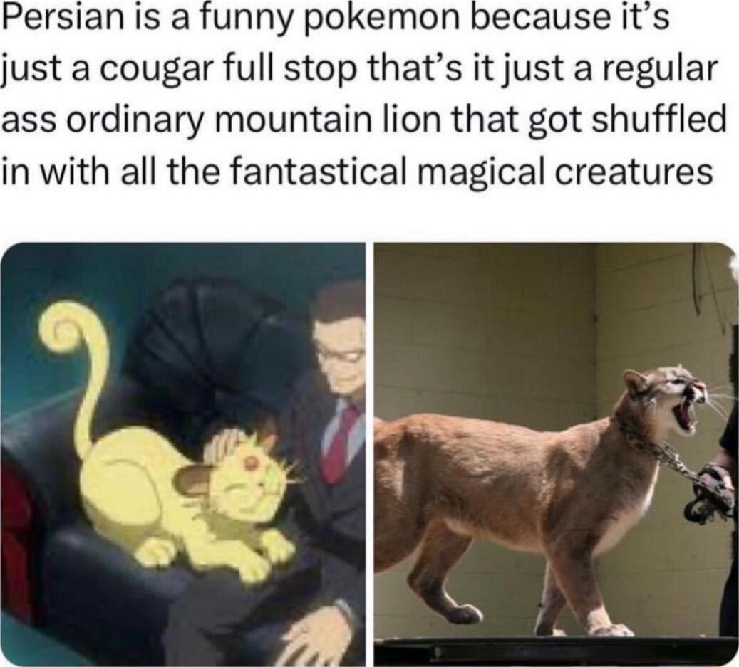Persian Is a funny pokemon because its just a cougar full stop thats it just a regular ass ordinary mountain lion that got shuffled in with all the fantastical magical creatures