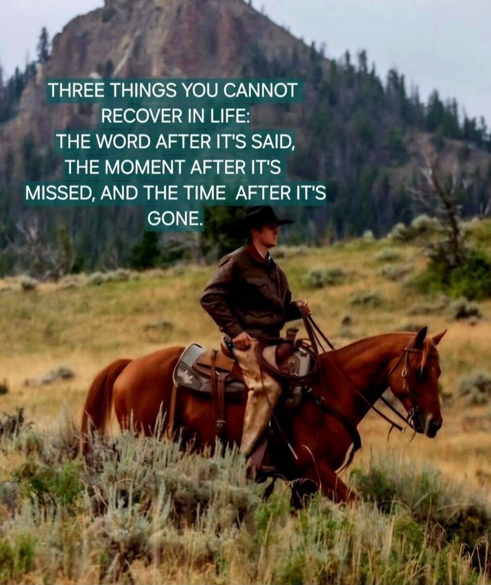 THREE THINGS YOU CANNOT RECOVER IN LIFE:
THE WORD AFTER IT'S SAID,
THE MOMENT AFTER IT'S
MISSED, AND THE TIME AFTER IT'S
GONE.