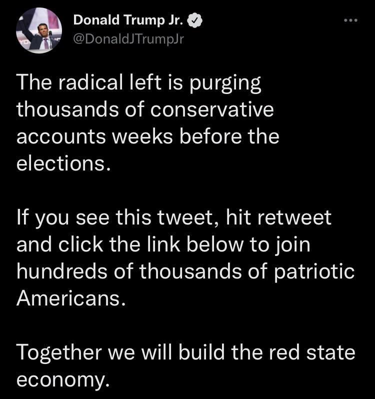 B Donald Trump Jr DonaldJTrumpJ The radical left is purging LAl IVEEToTe o MeTe I ETTaVEYIIVEY accounts weeks before the elections If you see this tweet hit retweet and click the link below to join hundreds of thousands of patriotic Americans Together we will build the red state economy