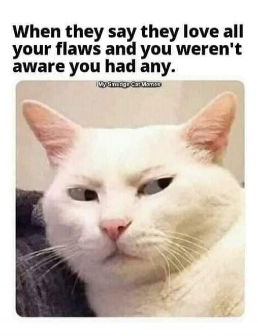 When they say they love all your flaws and you weren't aware you had any.