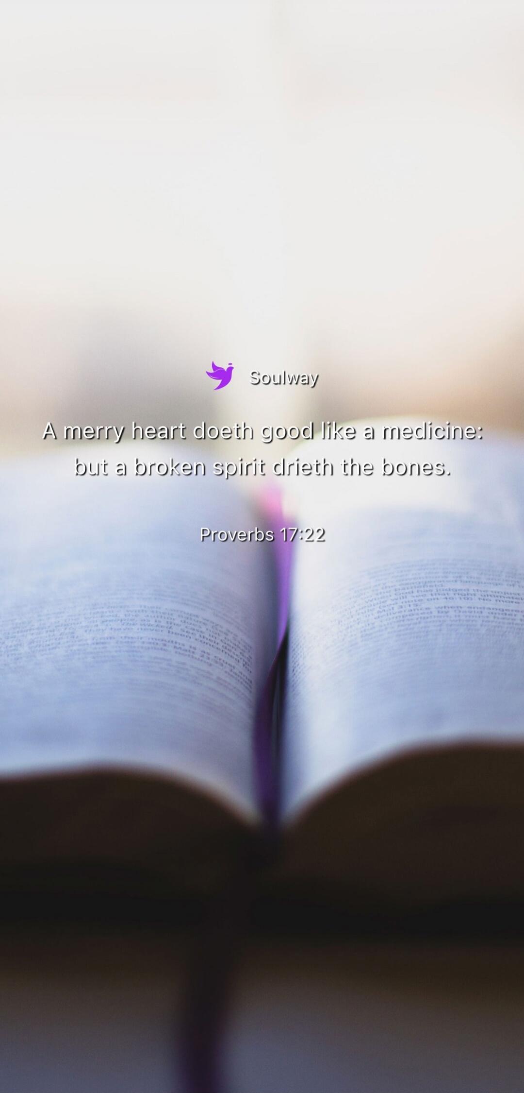 Soulway A merry heart doeth good like a medicine: but a broken spirit drieth the bones. Proverbs 17:22