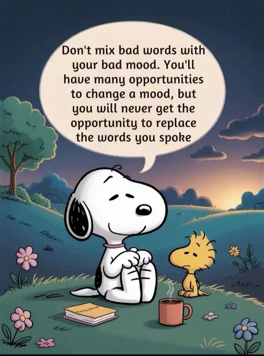 Don't mix bad words with your bad mood. You'll have many opportunities to change a mood, but you will never get the opportunity to replace the words you spoke.