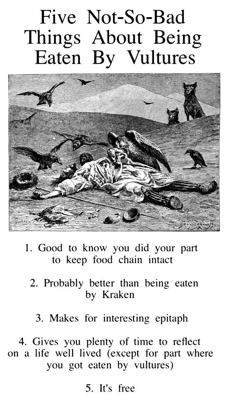 Five Not So Bad Things About Being Eaten By Vultures 1 Good to know you did your part to keep food chain intact 2 Probably better than being eaten by Kraken 3 Makes for interesting epitaph 4 Gives you plenty of time to reflect on a life well lived except for part where you got eaten by vultures 5 Its free