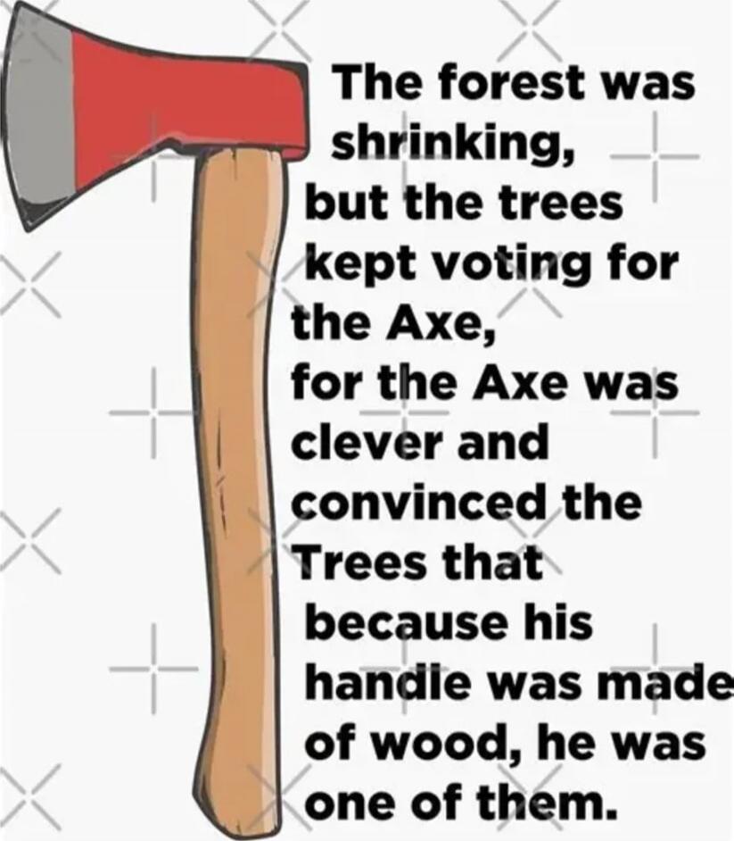 The forest was shrinking, but the trees kept voting for the Axe, for the Axe was clever and convinced the Trees that because his handle was made of wood, he was one of them.