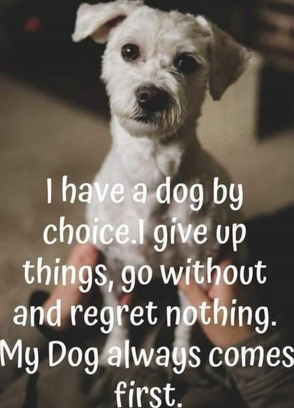 I have a dog by choice. I give up things, go without and regret nothing. My Dog always comes first.