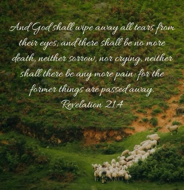 And God shall wipe away all tears from their eyes; and there shall be no more death, neither sorrow, nor crying, neither shall there be any more pain: for the former things are passed away. Revelation 21:4