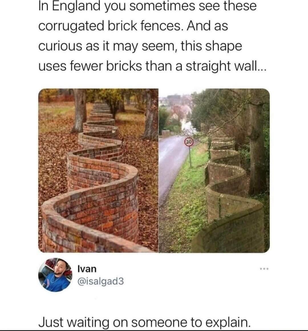 In England you sometimes see these corrugated brick fences And as curious as it may seem this shape uses fewer bricks than a straight wall isalgad3 Just waiting on someone to explain