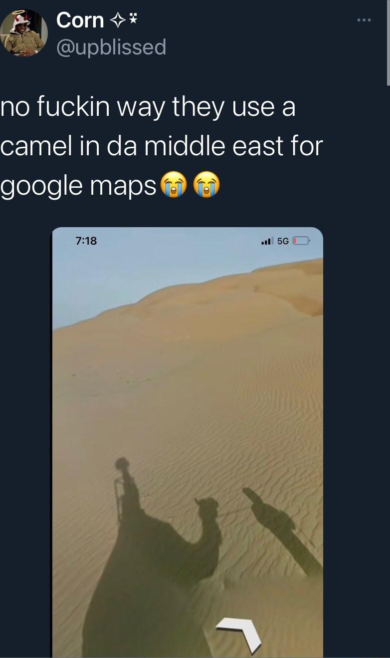 Corn l QUIelolSTe no fuckin way they use a camel in da middle east for google maps
