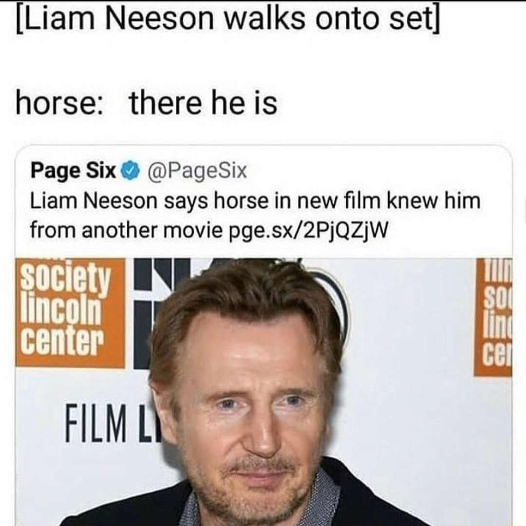 Liam Neeson walks onto set horse there he is Page Six PageSix Liam Neeson says horse in new film knew him from another movie pgesx2PjQZjW P