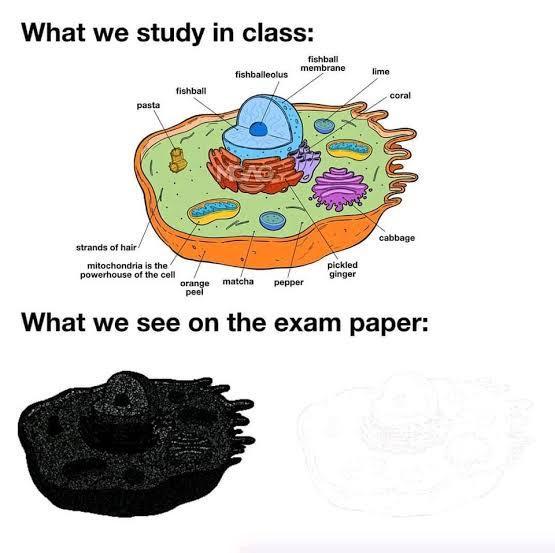 What we study in class What we see on the exam paper