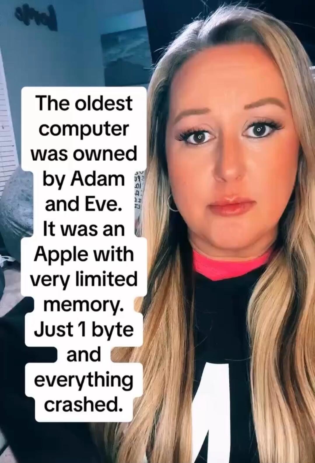 The oldest computer was owned 2 by Adam 31 andEve It was an S Apple with very limited memory Just 1byte and everything crashed 4 4