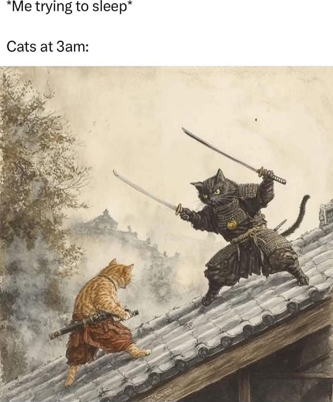 *Me trying to sleep* Cats at 3am: