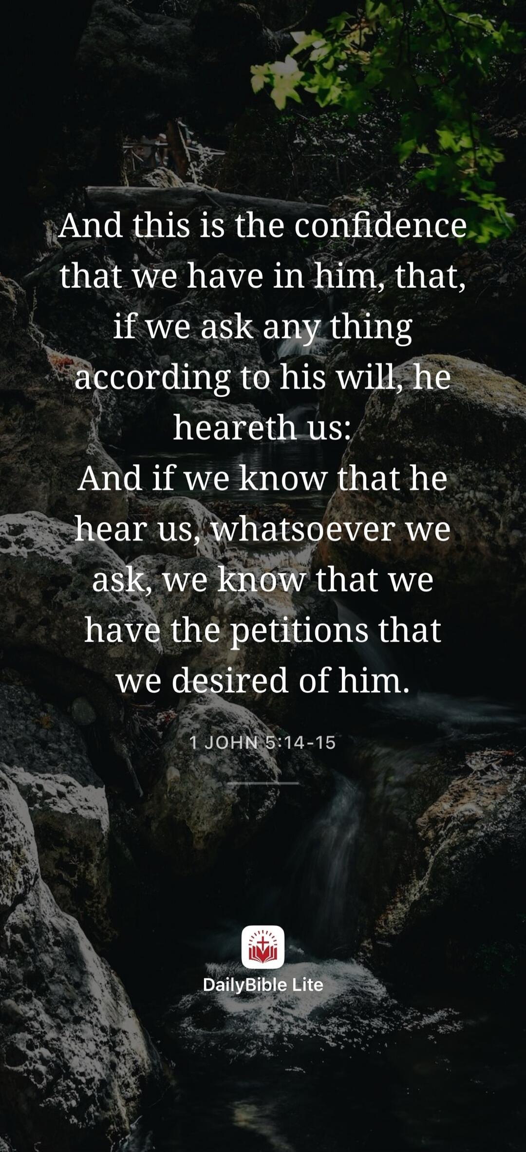 And this is the confidence that we have in him, that, if we ask any thing according to his will, he heareth us: And if we know that he hear us, whatsoever we ask, we know that we have the petitions that we desired of him. 1 JOHN 5:14-15 DailyBible Lite