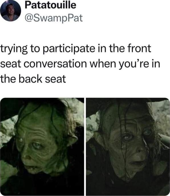 Patatouille SwampPat rying to participate in the front seat conversation when youre in he back seat