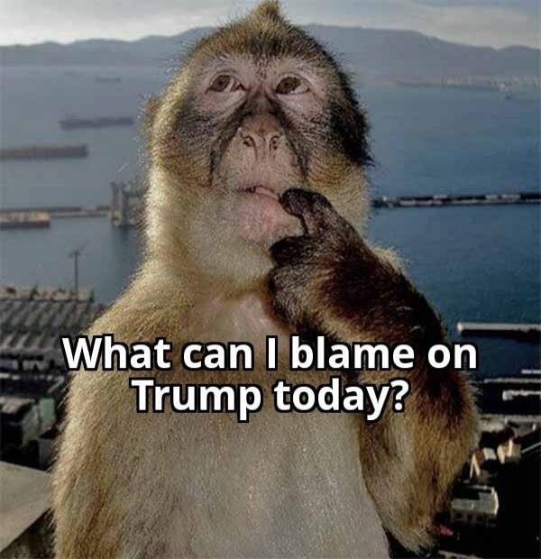 What can I blame on Trump today?