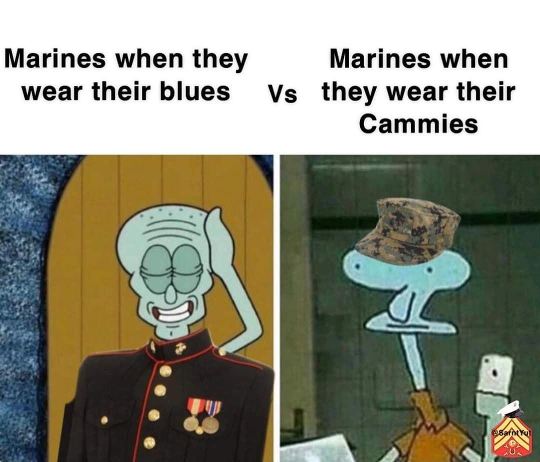 Marines when they Marines when wear their blues vs they wear their Cammies