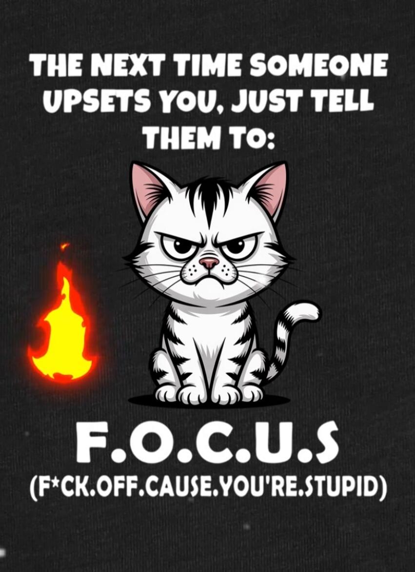 THE NEXT TIME SOMEONE UPSETS YOU, JUST TELL THEM TO: F.O.C.U.S (F*CK.OFF.CAUSE.YOU'RE.STUPID)