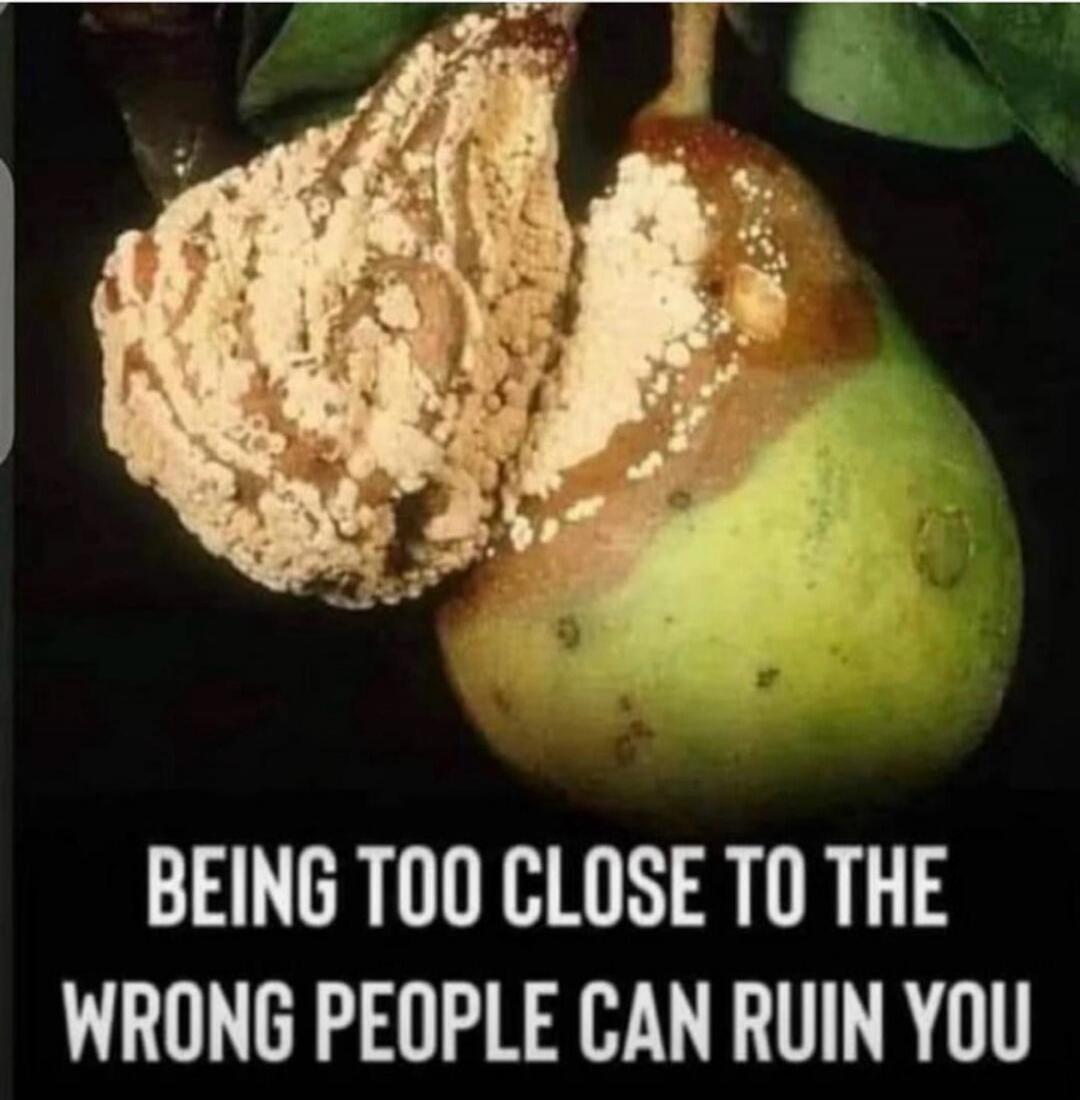 BEING TOO CLOSE TO THE WRONG PEOPLE CAN RUIN YOU