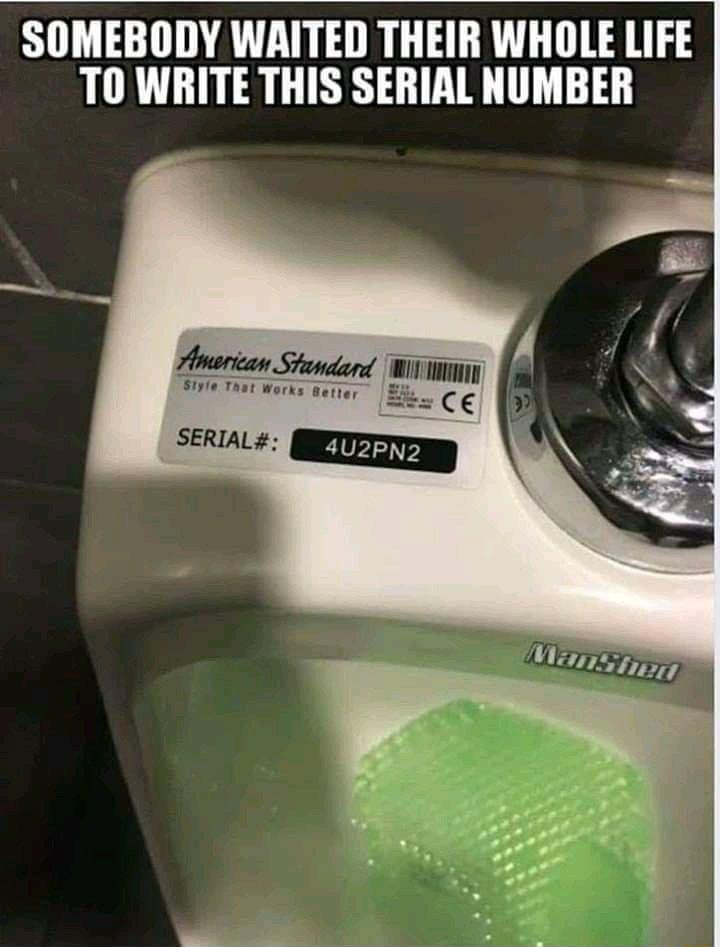 SOMEBODY WAITED THEIR WHOLE LIFE TO WRITE THIS SERIAL NUMBER