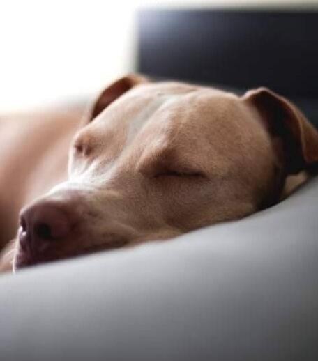 Session ID: 1042283.