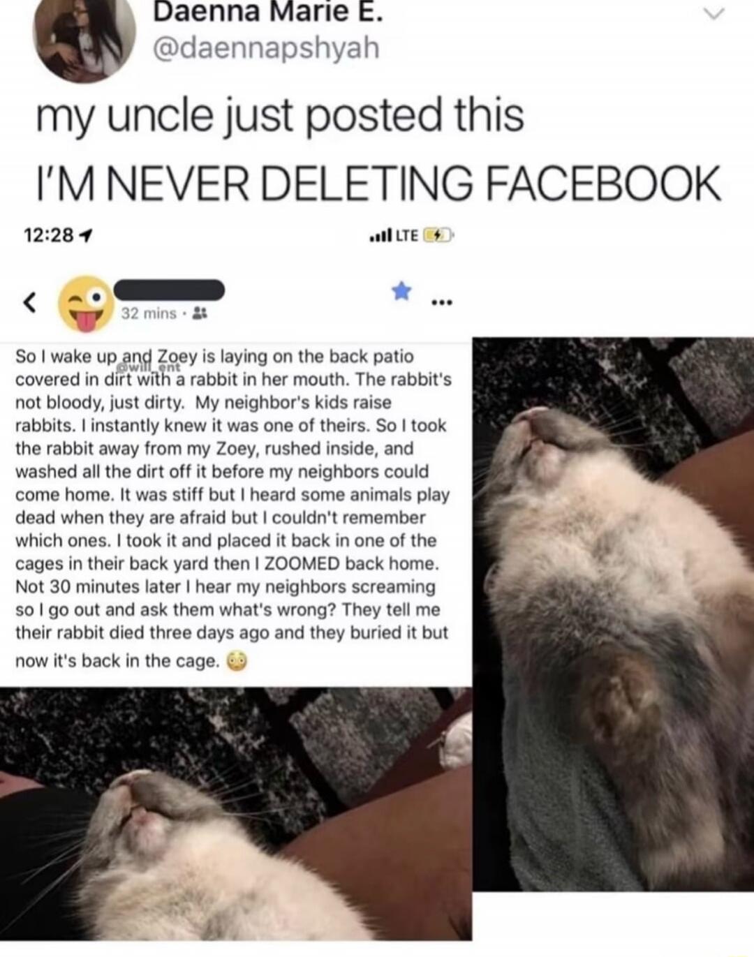 my uncle just posted this I'M NEVER DELETING FACEBOOK So I wake up and Zoey is laying on the back patio covered in dirt with a rabbit in her mouth. The rabbit's not bloody, just dirty. My neighbor's kids raise rabbits. I instantly knew it was one of theirs. So I took the rabbit away from my Zoey, rushed inside, and washed all the dirt off it before