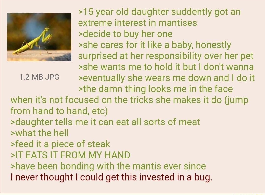 112621Fri090451 No66306153 15 year old daughter suddently got an extreme interest in mantises decide to buy her one she cares for it like a baby honestly surprised at her responsibility over her pet she wants me to hold it but dont wanina 12MBUPG eventually she wears me down and do it the damn thing looks me in the face when its not focused on the tricks she makes it do ump from hand to hand etc d