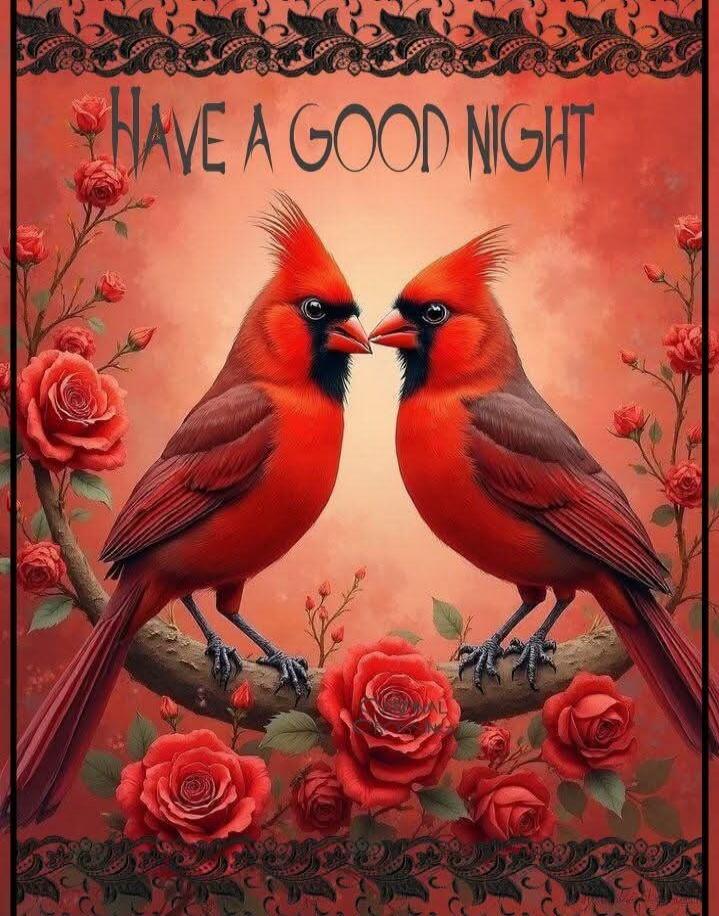 HAVE A GOOD NIGHT