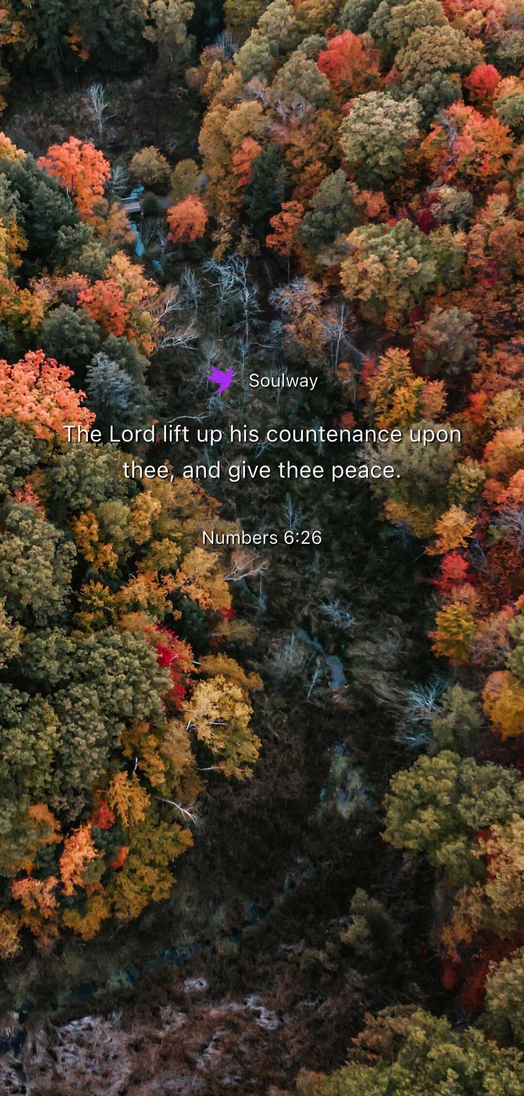 Soulway The Lord lift up his countenance upon thee, and give thee peace. Numbers 6:26