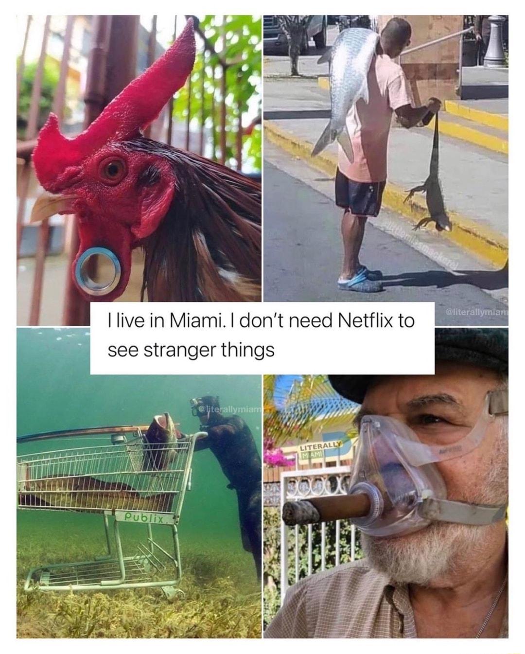 Ilive in Miami dont need Netflix to see stranger thing