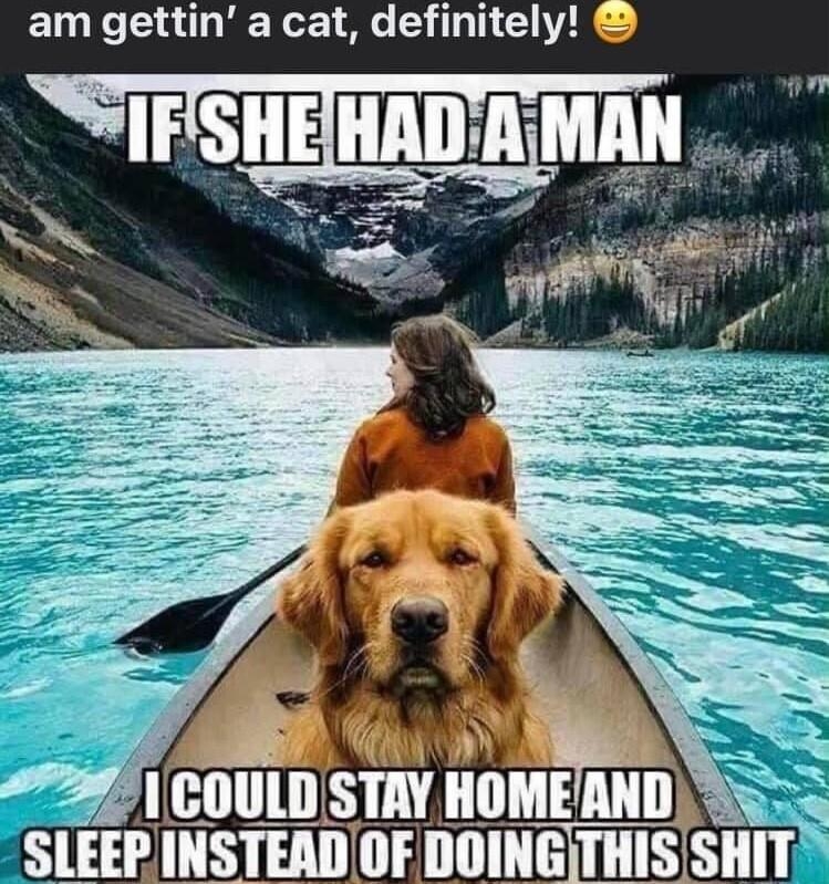 am gettin a cat definitely