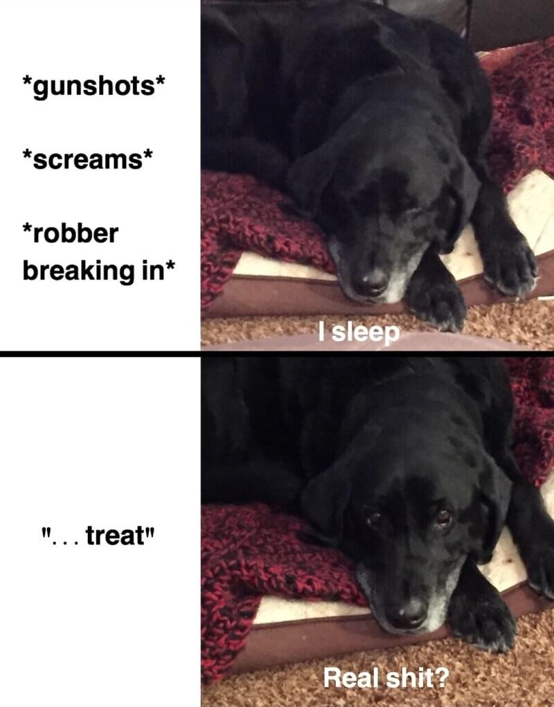 gunshots screams robber breaking in