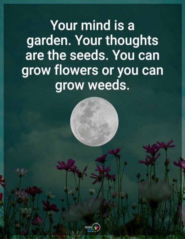 Your mind is a garden. Your thoughts are the seeds. You can grow flowers or you can grow weeds.