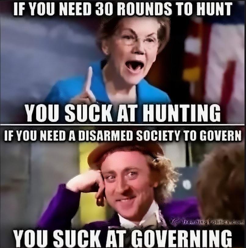 IF YOU NEED 30 ROUNDS TO HUNT YOU SUCK AT HUNTING IF YOU NEED A DISARMED SOCIETY TO GOVERN int YOU SUCK AT GOVERNING