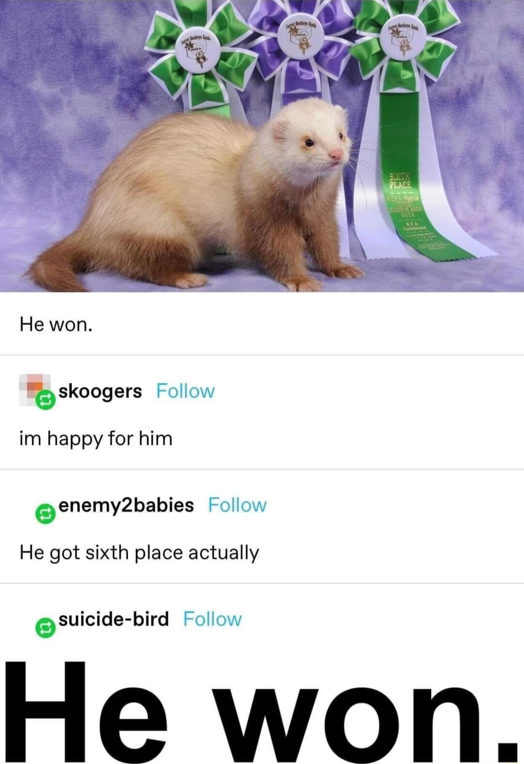 He won skoogers im happy for him esnemyzbabies He got sixth place actually sulcuds bird He won