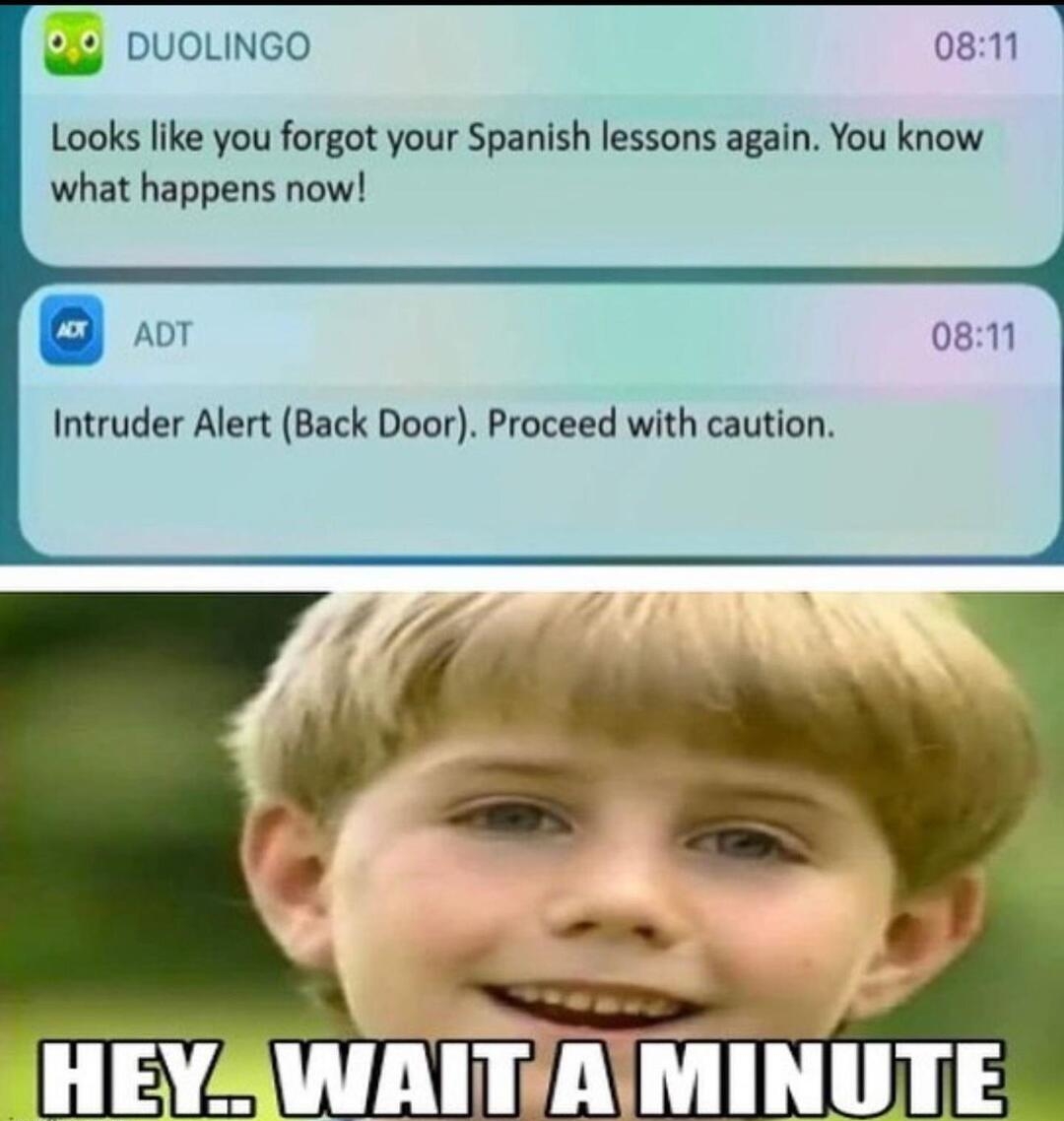 081 Looks like you forgot your Spanish lessons again You know what happens now 8 Intruder Alert Back Door Proceed with caution S HEYAWAITAIN