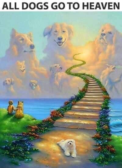 ALL DOGS GO TO HEAVEN