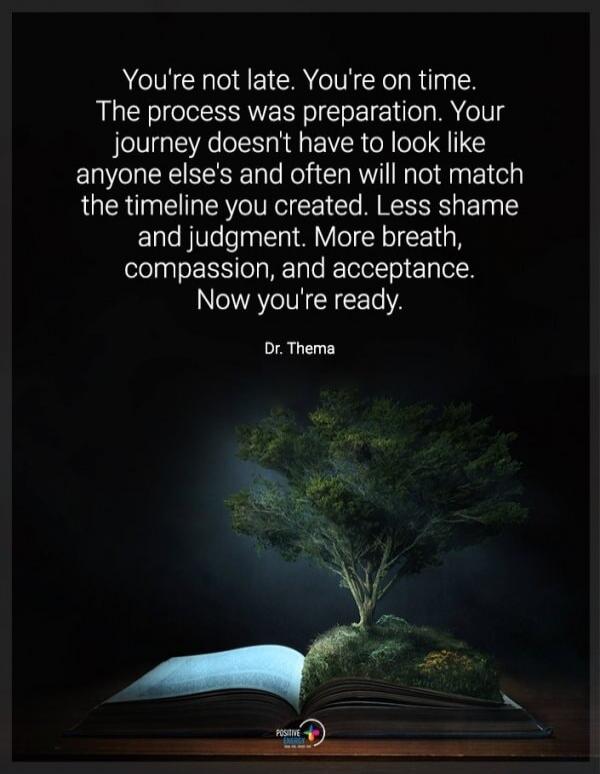 You're not late. You're on time. The process was preparation. Your journey doesn't have to look like anyone else's and often will not match the timeline you created. Less shame and judgment. More breath, compassion, and acceptance. Now you're ready. Dr. Thema